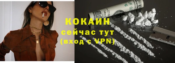 прущие грибы Бронницы