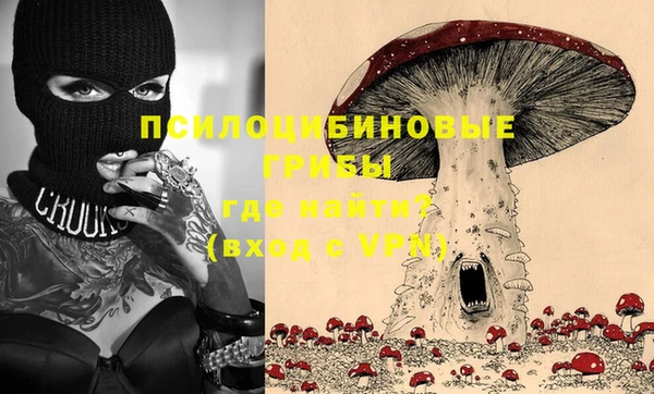 эйфоретик Сосновка
