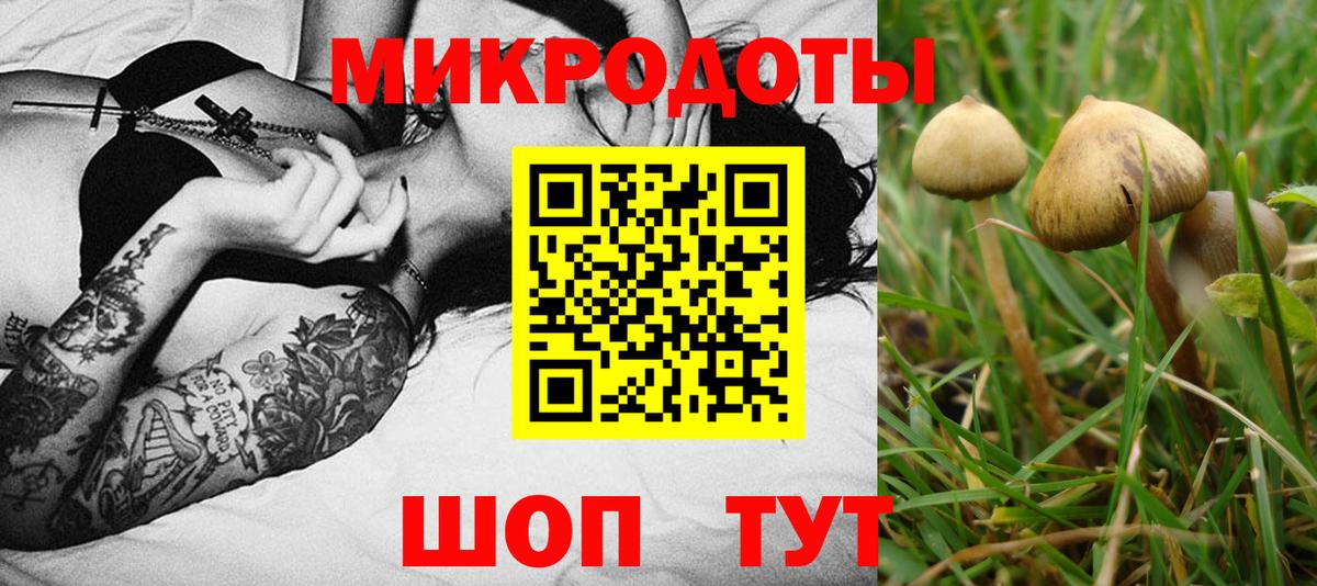 Галлюциногенные грибы Psilocybe  Вход с VPN  Тобольск 